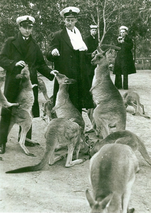 Supply Assistant Walpole with three kangaroos and three other unknown NZ sailors\n Supply Assistant Walpole with three kangaroos and three other unknown NZ sailors\n